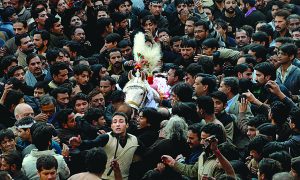 jaloos-2