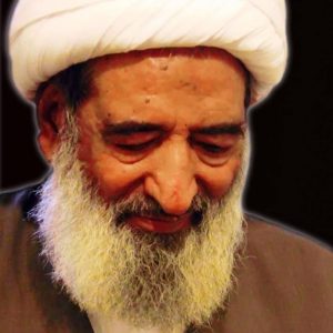 sheikh-mohsin-najafi